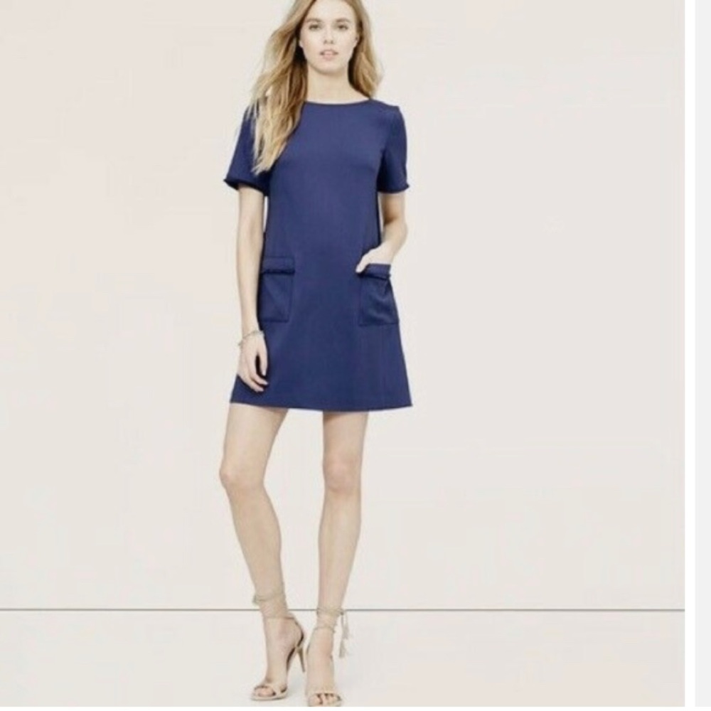 LOFT Navy Blue Shift Dress